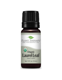 Aceite Esencial de Hoja de Laurel 10 mL Plant Therapy 100% Puro