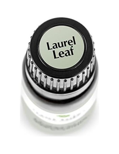 Aceite Esencial de Hoja de Laurel 10 mL Plant Therapy 100% Puro
