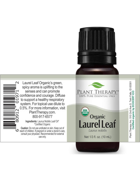 Aceite Esencial de Hoja de Laurel 10 mL Plant Therapy 100% Puro