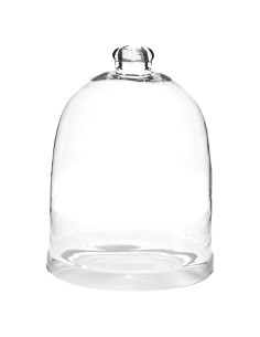 Campana de vidrio Park Designs 30 cm H - Domo decorativo claro