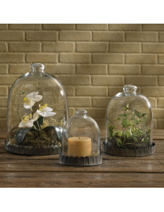 Campana de vidrio Park Designs 30 cm H - Domo decorativo claro 2