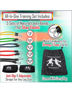 Bandas de Resistencia Lateral HOOPSKING Lockdown 5 Niveles 2