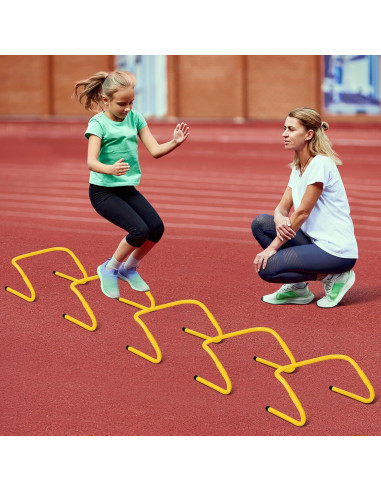 Set de Entrenamiento de Velocidad y Agilidad SMTPDT - 5 Vallas y Escalera