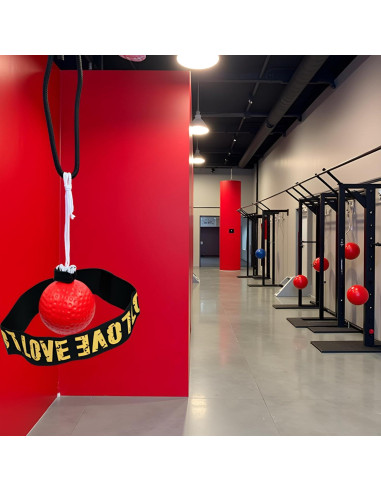 Bola de Boxeo YuanHolumid con Banda para la Cabeza - Entrenador de Reflejos