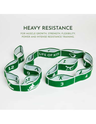 Correa de Estiramiento Vida de Koi 150 cm con Asas Verde