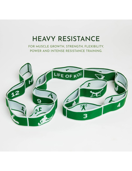Correa de Estiramiento Vida de Koi 150 cm con Asas Verde