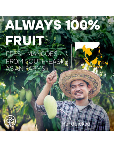 Polvo de Mango Liofilizado Jungle Powders 142g Sin Azúcar 2