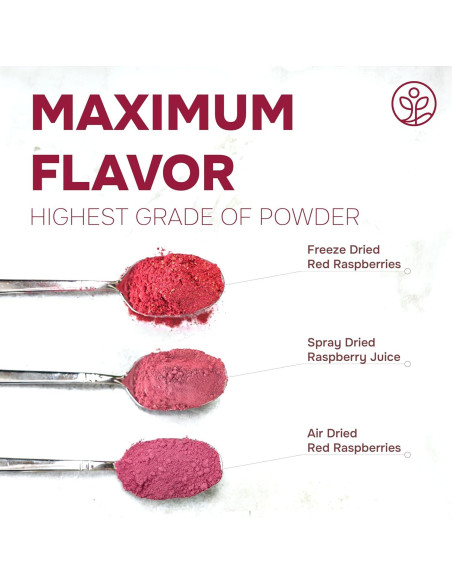 Polvo de Frambuesa Jungle Powders 99g Sin Azúcar Liofilizado