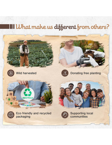 Varitas de Incienso Natural Sagrada Madre - Frankincense 22.86 cm