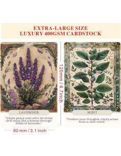 Cartas Oráculo Susurros Herbales ZHQGYN - 46 Cartas Espirituales 2