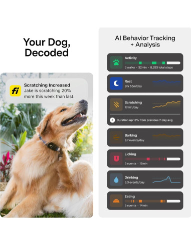 Collar Rastreador GPS Fi 3+ para Perros Pequeños Azul
