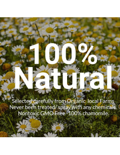225 Bolsitas de Té de Manzanilla Akshit 100% Flores Secas 141g 2
