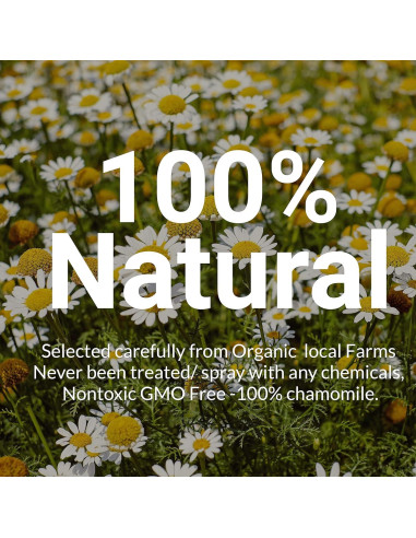 225 Bolsitas de Té de Manzanilla Akshit 100% Flores Secas 141g