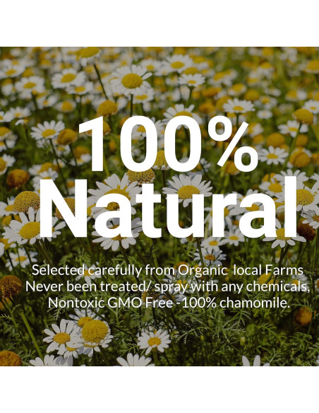 225 Bolsitas de Té de Manzanilla Akshit 100% Flores Secas 141g