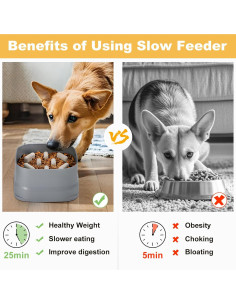 Plato de Comida Lenta Sunhoo para Perros Grandes y Medianos - Antideslizante, Ajustable, 1.42L 2