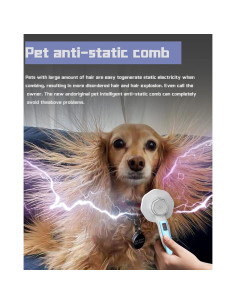 Cepillo Autolimpiante Antiestático para Mascotas Enjoy Fashion - Azul 2