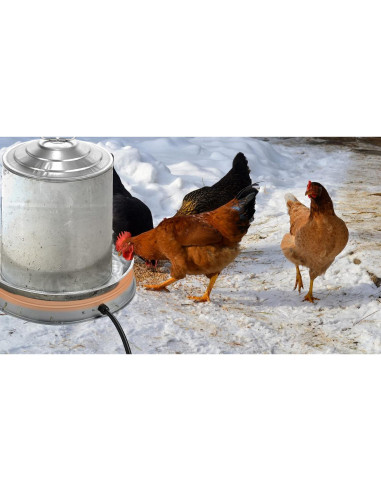 Calentador de Agua para Pollos Zoblise 28 cm 125W Anticongelante