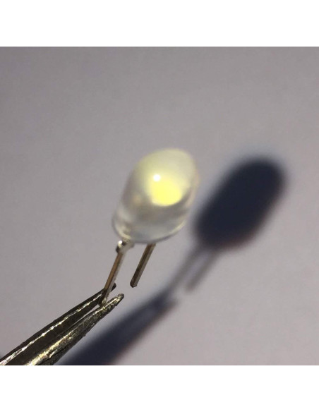 100 LEDs Diodo Ovalado Blanco 5mm ProIcWorld Difuso