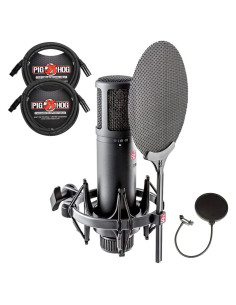 Micrófono de condensador sE Electronics SE2200 con soporte y cables