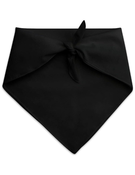 Bandana para mascotas Scooby-Doo Graphics & More 53 cm