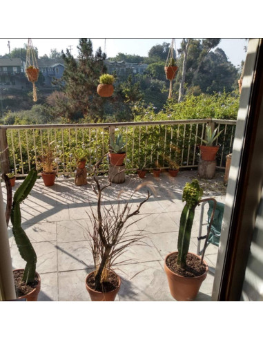 Keadic 6Pcs Colgadores de Plantas de Macramé - 3 Tamaños