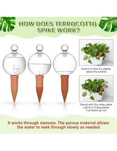 3 Esferas de Riego de Vidrio y Picos de Terracota para Plantas 2