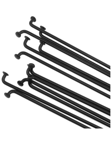 Radio de Bicicleta AYLIFU 14G Acero Inoxidable 260mm 12 Pcs