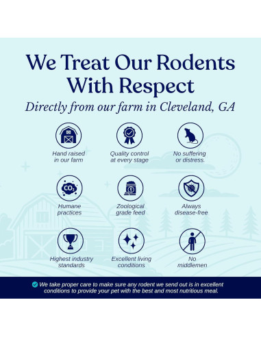 75 Ratones Congelados Pinkie MiceDirect 1.27-2.54 cm para Serpientes
