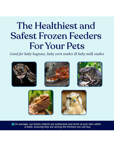 75 Ratones Congelados Pinkie MiceDirect 1.27-2.54 cm para Serpientes