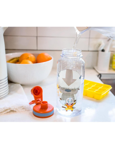 Botella de Agua 0.95L Silver Buffalo Aang y Appa Chibi