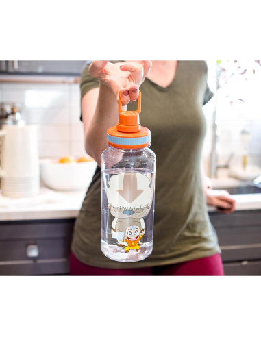 Botella de Agua 0.95L Silver Buffalo Aang y Appa Chibi