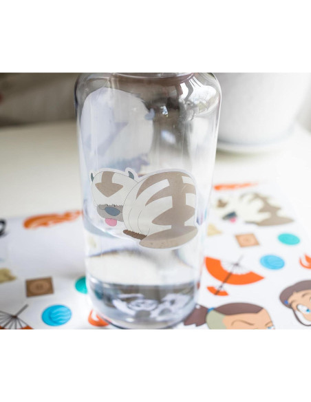 Botella de Agua 0.95L Silver Buffalo Aang y Appa Chibi