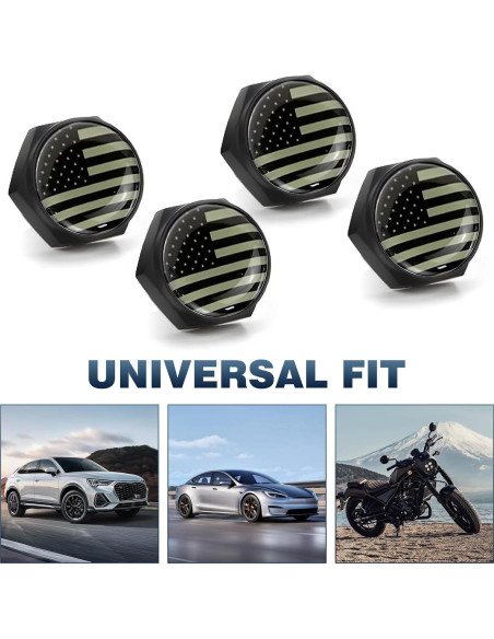 Kit 4 Tornillos Antirrobo para Placas de Matrícula Zeathery