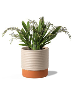 Maceta Autorriego Chubacoo Cerámica 20 cm Beige y Terracota