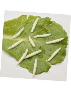 VICASKY 30pcs Props de Broma Realistas para Halloween PVC 2