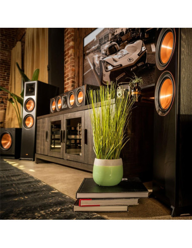 Altavoz de Canal Central Klipsch RP-404C II Ébano 9.2 kg