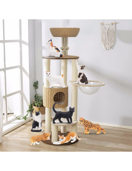 Figuras de Gato Realistas TOYMANY 8 Piezas Educativas