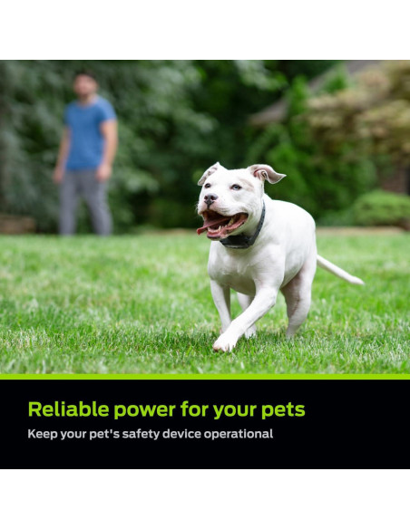 Baterías de Litio 6V Premier Pet - Paquete de 2 Reemplazo