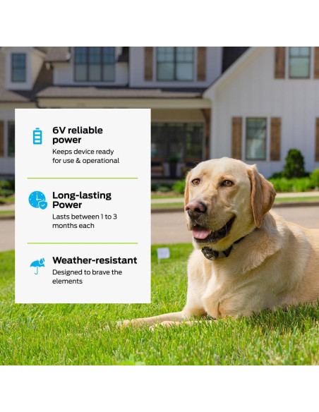 Baterías de Litio 6V Premier Pet - Paquete de 2 Reemplazo