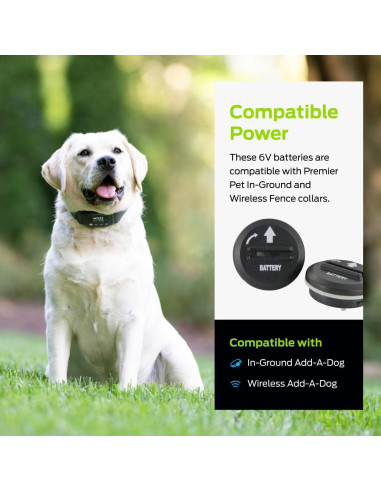 Baterías de Litio 6V Premier Pet - Paquete de 2 Reemplazo
