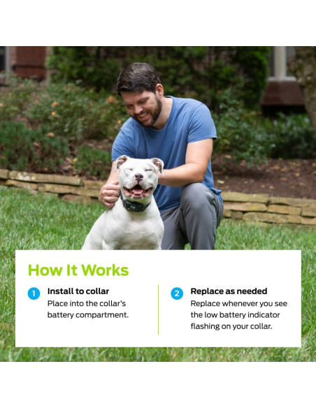 Baterías de Litio 6V Premier Pet - Paquete de 2 Reemplazo