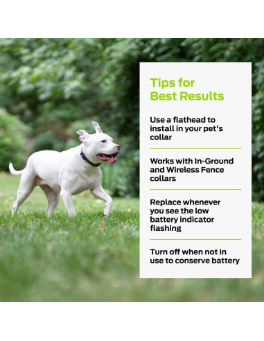 Baterías de Litio 6V Premier Pet - Paquete de 2 Reemplazo