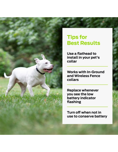 Baterías de Litio 6V Premier Pet - Paquete de 2 Reemplazo