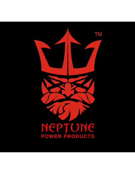 Batería Recargable SLA 12V 5Ah Neptune NT1250 para Alarmas