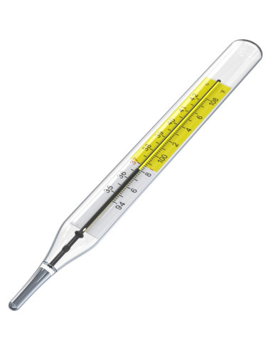 Termómetros clínicos de vidrio SEABOOM 2pcs sin mercurio C&F