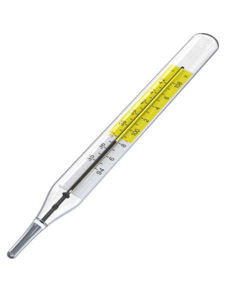 Termómetros clínicos de vidrio SEABOOM 2pcs sin mercurio C&F