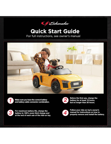 Batería recargable 6V Schumacher TB1 4.5Ah para juguetes