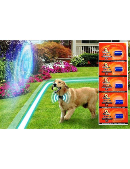Batería de 6V para Collares de Cerca Invisible Pet Stop - Paquete de 5
