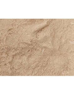 Extracto de Quillaja en Polvo 500g - Chemsavers - Saponina 2