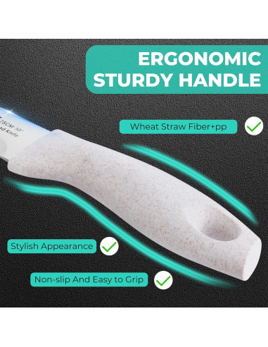 Cuchillo de Pan HAUSHOF 25.4 cm Acero Inoxidable Serrado